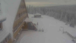 Parkoviště a hlavní vchod