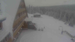 Parkoviště a hlavní vchod