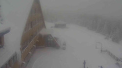 Parkoviště a hlavní vchod