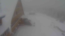 Parkoviště a hlavní vchod