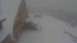 Parkoviště a hlavní vchod