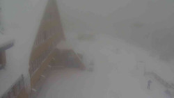 Parkoviště a hlavní vchod