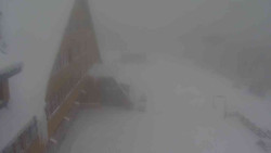 Parkoviště a hlavní vchod