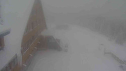 Parkoviště a hlavní vchod