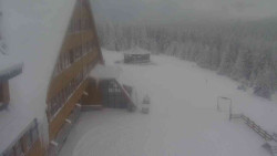 Parkoviště a hlavní vchod