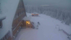 Parkoviště a hlavní vchod