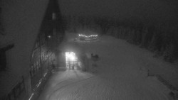 Parkoviště a hlavní vchod