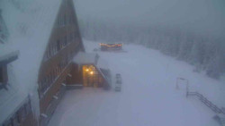 Parkoviště a hlavní vchod