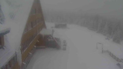 Parkoviště a hlavní vchod