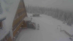 Parkoviště a hlavní vchod