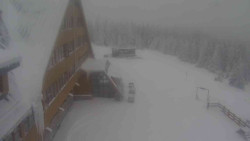 Parkoviště a hlavní vchod