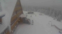 Parkoviště a hlavní vchod