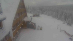 Parkoviště a hlavní vchod