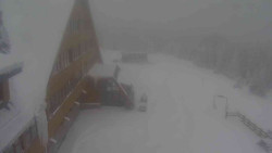 Parkoviště a hlavní vchod