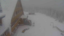 Parkoviště a hlavní vchod