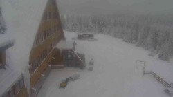 Parkoviště a hlavní vchod