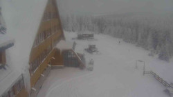 Parkoviště a hlavní vchod