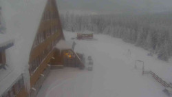 Parkoviště a hlavní vchod