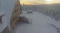 Parkoviště a hlavní vchod