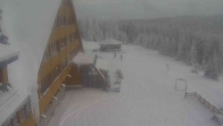 Parkoviště a hlavní vchod