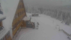 Parkoviště a hlavní vchod