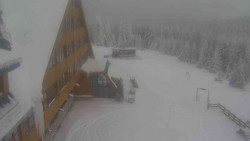 Parkoviště a hlavní vchod