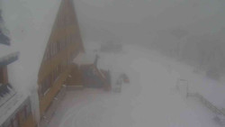 Parkoviště a hlavní vchod