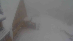 Parkoviště a hlavní vchod