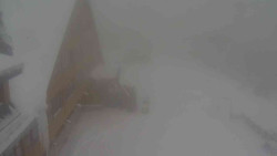 Parkoviště a hlavní vchod