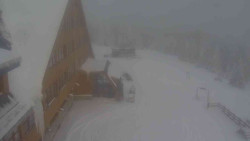 Parkoviště a hlavní vchod