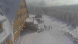 Parkoviště a hlavní vchod