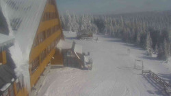 Parkoviště a hlavní vchod