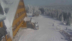 Parkoviště a hlavní vchod