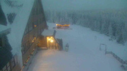 Parkoviště a hlavní vchod