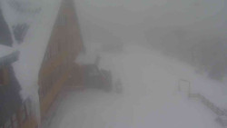 Parkoviště a hlavní vchod