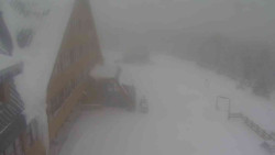 Parkoviště a hlavní vchod