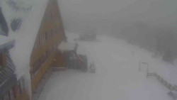 Parkoviště a hlavní vchod