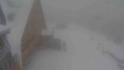 Parkoviště a hlavní vchod