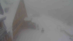 Parkoviště a hlavní vchod