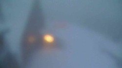 Parkoviště a hlavní vchod