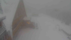 Parkoviště a hlavní vchod