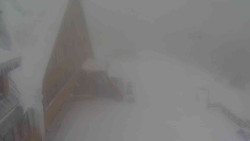 Parkoviště a hlavní vchod