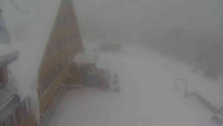 Parkoviště a hlavní vchod