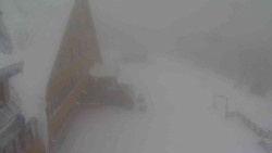 Parkoviště a hlavní vchod