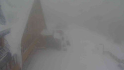 Parkoviště a hlavní vchod