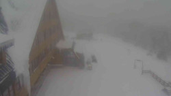 Parkoviště a hlavní vchod