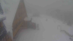 Parkoviště a hlavní vchod