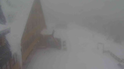 Parkoviště a hlavní vchod