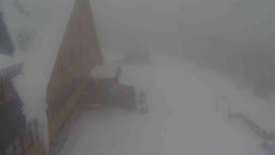 Parkoviště a hlavní vchod