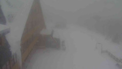 Parkoviště a hlavní vchod